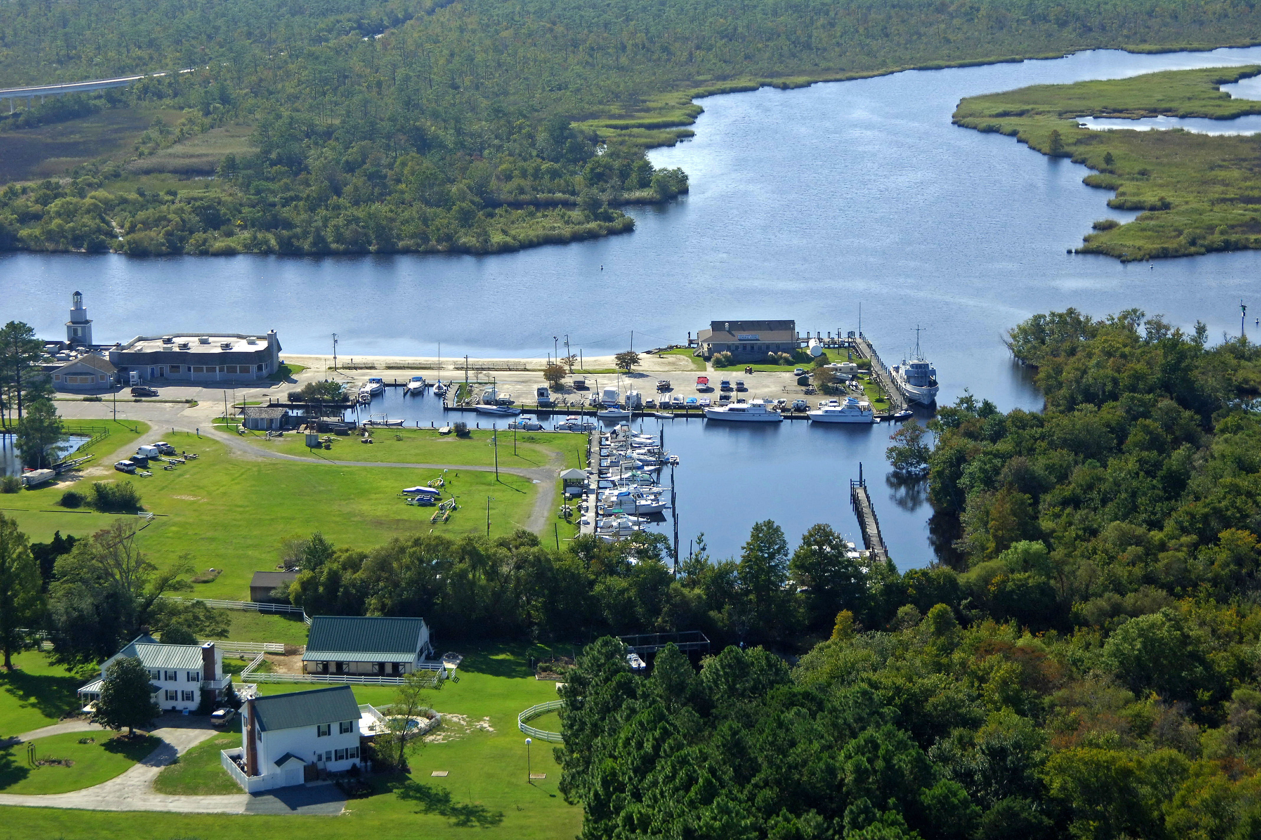 Pungo