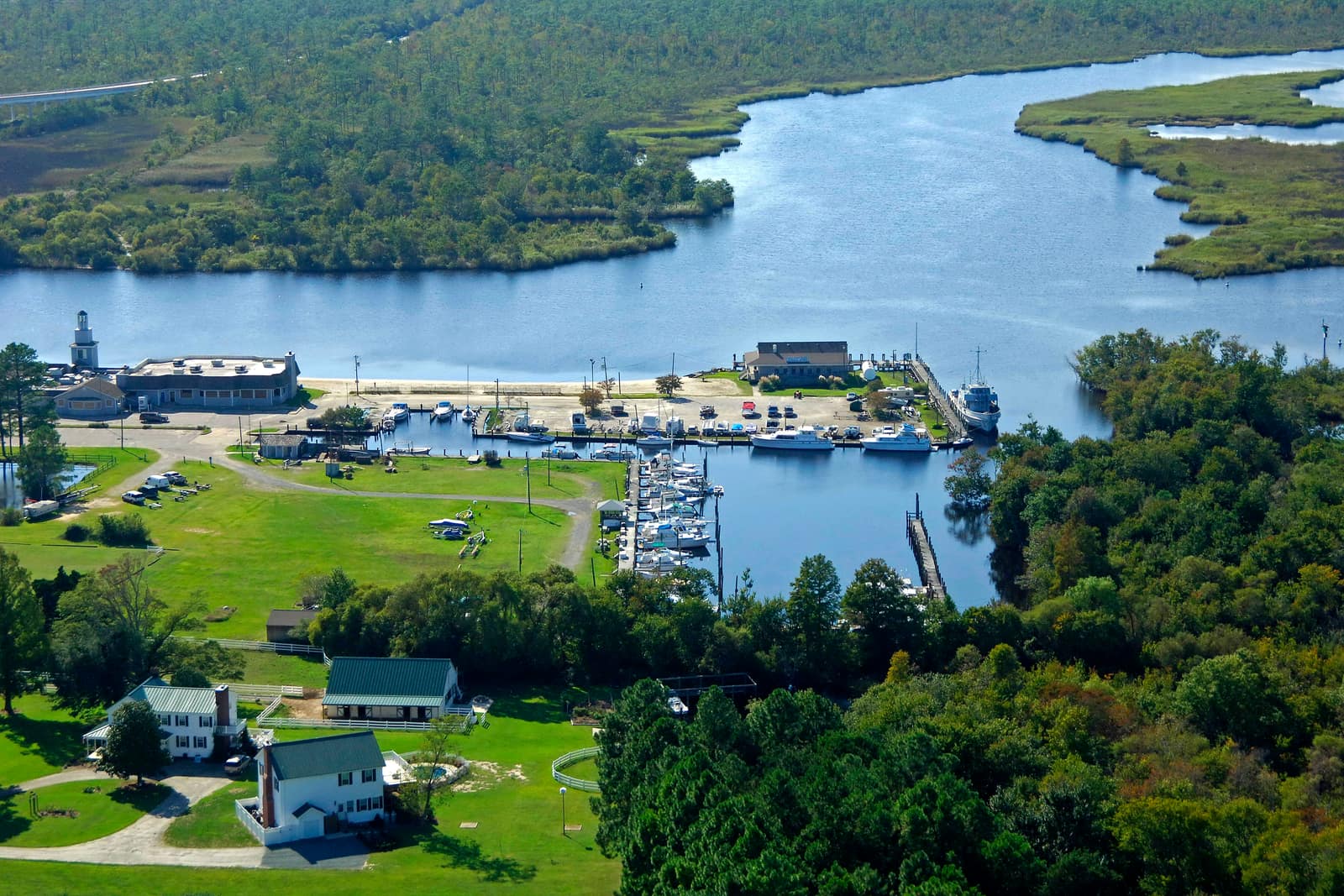 Pungo